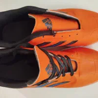 کفش ورزشی|کیف، کفش، کمربند|شیراز, پودنک|دیوار