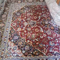 فروش فرش دوتا شیش متری ی نه متری دوتا کنار فرشی|فرش|شیراز, گود عربان|دیوار