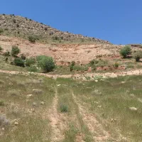 فروش زمین ۱۰۰۰ متری در کلسون ،سه چاه|فروش زمین و ملک کلنگی|شیراز, گلستان|دیوار