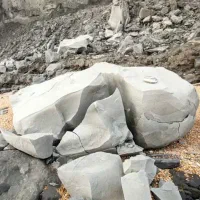 قلم سایلنت پاور