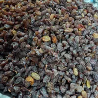 کشمش|خوردنی و آشامیدنی|اردکان, |دیوار