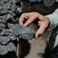 زغال انگور|عمده‌فروشی|ملارد, |دیوار