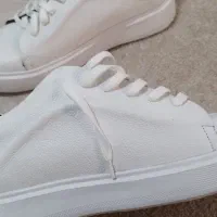 کفش چرم|کیف، کفش، کمربند|رشت, گیل|دیوار