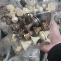 تک و عمده شطرنج