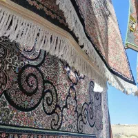 راننده قالشیویی