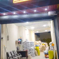 فروش عمده تخم گشنیز توپی|عمده‌فروشی|نهاوند, |دیوار