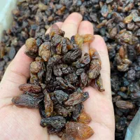 کشمش آفتابی و شیره خرما|عمده‌فروشی|تهران, کرمان|دیوار