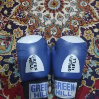 دست کش بوکس|لباس|مشهد, مصلی (کارمندان اول)|دیوار