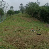 فروش زمین|فروش زمین و ملک کلنگی|لنگرود, |دیوار