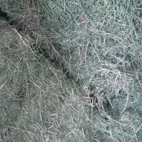 فروش یونجه بسته