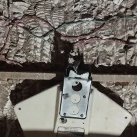 انتن|تلویزیون و پروژکتور|رشت, پاره بیجار|دیوار