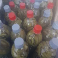 خیارشور