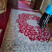 فرش دستباف دوم|فرش|گلستان (تهران), |دیوار