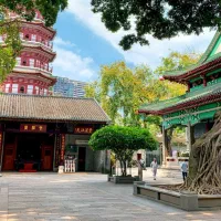 تور چین دبی عمان قطر استانبول تاجیکستان پیکاپ کیش