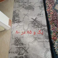 پادری|فرش|پاکدشت, پاکدشت (مامازند)|دیوار