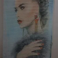 پرده زبرا ۲ تیکه