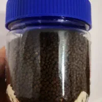 غذای ماهی گوشتخوار آکواریومی