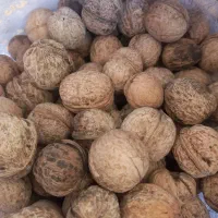 حراج.فقط یک ده پانزده کیلو مونده