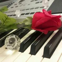 dj - خواننده - کیبورد