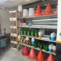 مرغ و خروس زنده دان مرغی