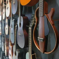 گیتار حرفه ای انتونیوسزار  ۷ جلسه کلاس رایگان|گیتار، بیس، امپلیفایر|مشهد, آزادشهر|دیوار