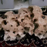 صخره اکواریوم|ماهی|چهاردانگه (تهران), |دیوار