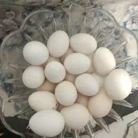 تخم مرغ گلین|خوردنی و آشامیدنی|سرپل ذهاب, |دیوار