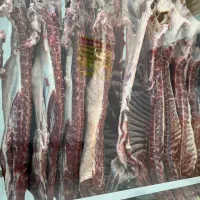 یکشنبه وباز ما