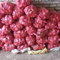 سیب زمینی پاک شده بامبا 402 حدود یک تن و سیصد