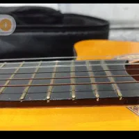 گیتار الوارز کره ای اصل|گیتار، بیس، امپلیفایر|بوشهر, |دیوار