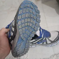 دو جفت کفش|کیف، کفش، کمربند|شیراز, گویم|دیوار