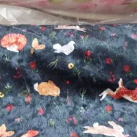 پارچه کیلویی|لوازم خیاطی و بافتنی|فردوس (خراسان), |دیوار