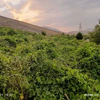 باغ یعنی گوشه ای از بهشت