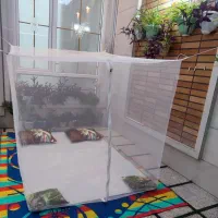 پشه بند سنتی