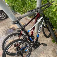 اجاره دوچرخه دنده ای ویوا روزانه