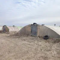 سازه گلخانه