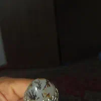 انگشتر شجر کلکسیونی اعلا