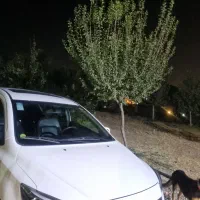 شاهین GL دنده ای، مدل ۱۴۰۲