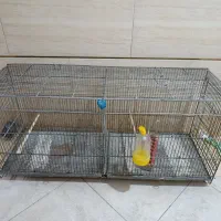 قفس  جوجه پران پژاوند غلامی درجه یک