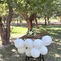 فروش ویژه میز و صندلی نهار خوری چوبی فلزی/تاشو|میز و صندلی غذاخوری|نجفآباد, شهید رجایی|دیوار