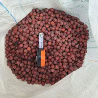 عناب سایز ۱۴ تا ۱۷|خوردنی و آشامیدنی|قائن, |دیوار