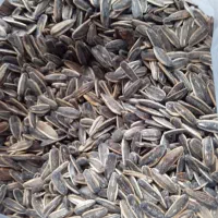 کشک دوغ روغن گوسفندی روغن گاوعسل کردستان کره دوغی|خوردنی و آشامیدنی|کاشان, فاز ۲ ناجی آباد|دیوار