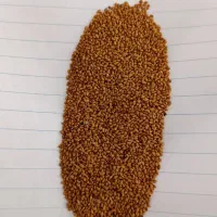 بذر یونجه
