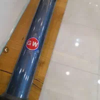 لنسر ماهیگیری