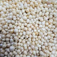 مروارید اصل