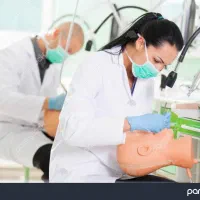 پذیرش دانشجوی دندانپزشکی
