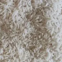 برنج شمال