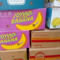 100 عدد کارتون موز