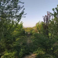 فروش زمین ۲۲۰۰ متری معاوضه شمال ماشین تهران شهریار|فروش زمین و ملک کلنگی|رباط‌کریم, منجیل آباد|دیوار