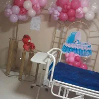 بادکنک آرایی آوین|خدمات پذیرایی، مراسم|زنجان, |دیوار